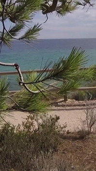 Dick flash - ik trek mijn pik eruit in het bijzijn van een Frans meisje ... Strandpad en ze helpt me klaarkomen in Mounth betrapt!!