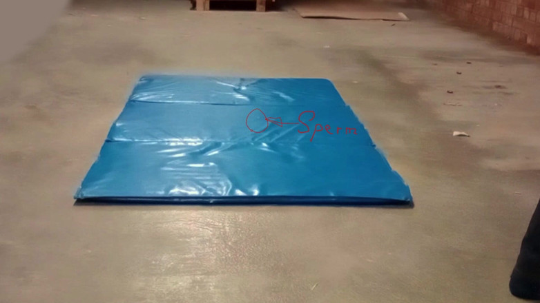 Mark Hannes: Szybka ryzykowna masturbacja garbu na hali magazynowej