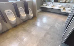 Public Toilet Caught