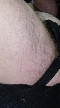 Behaartes Solo-assplay