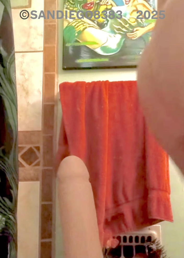 SanDiego8383: Dildo on the Toilet