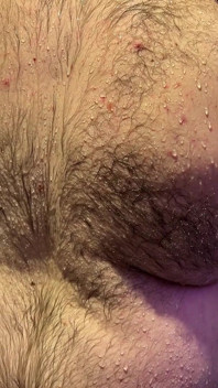 Bear Shower Worship
