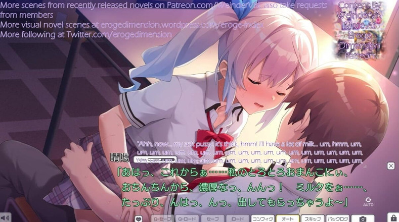 Eroge Dimension: Surechigau Kyoudai No Kowareru Rinrikan Cena10-13