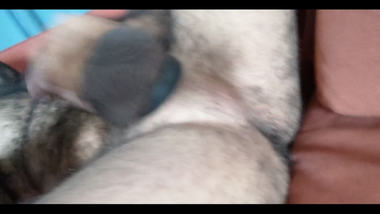 Lobo: Was sonst zu tun ist