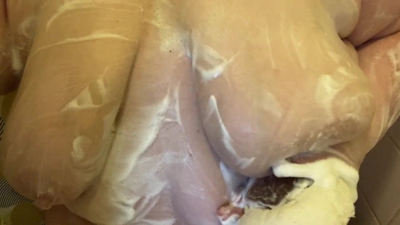 Real homemade BBW BBC porn: In doccia insapono le mie tette enormi