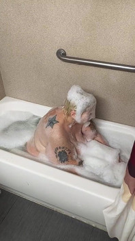 Naughty Bubbler Getting Soapy Masterbating in the Tub Her Pussy She Rubs