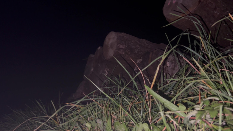 Apomit: Teen Boy Night Flash Near City in Pantyhose