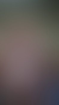 My Home Video 3