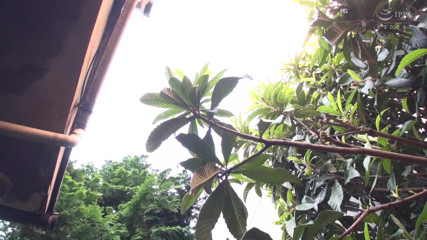 Raptor Inc: Sborrata dentro amatoriale in piccola stanza 182: casalinga Mao Kurata, 29 anni -...