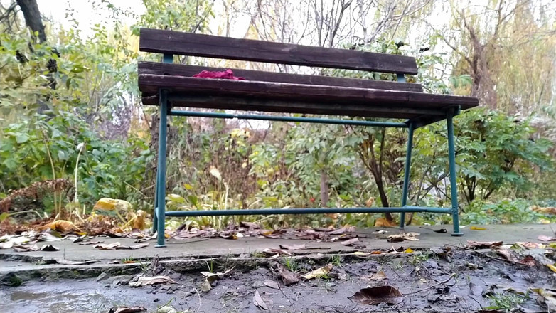 OurFetishLife: Veřejná masturbace v parku pro dospělé MILF