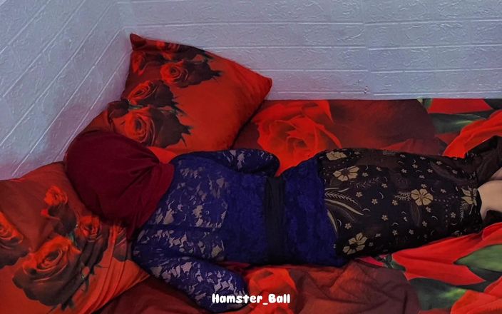 Hamster_Ball: A meia-irmã infiel que eu pedi punheta e boquete