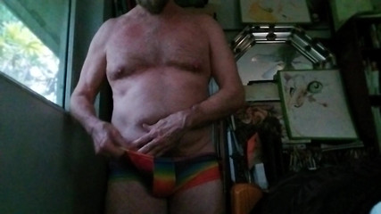 Hairyartist: Pridewear