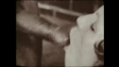 Vintage Usa: A esposa linfomaníaca