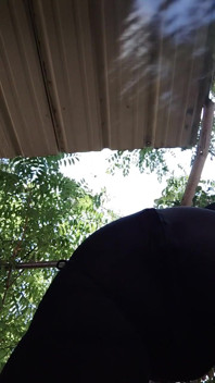 Big Ass with Dildo
