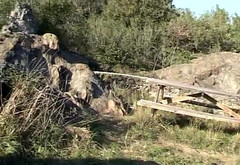 Italian swingers LTG: Perversions italiennes, histoires de sexe privé et de désir n° 1 -...