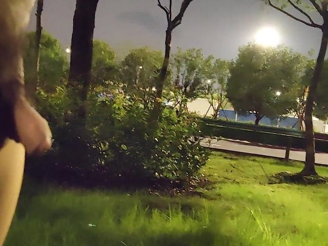 Nude Walking in a Park on the Side of a Busy Highway and Peeing (Publicnaker)