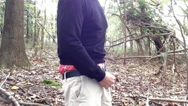 Masturbation im Wald, Zeigt eine schöne Hängen in meinen Hollister Boxers and Cargo Shorts.