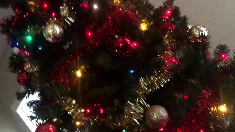 Exclusive Dirty Diana: Dirty Diana loves the holidays