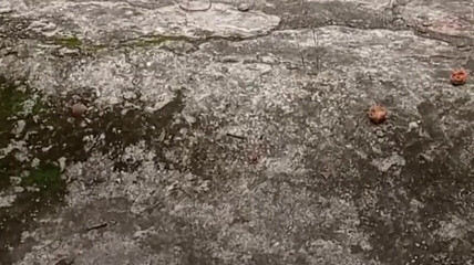 Troye_AsianPinoy: Jakol Trip Ko Sa Veřejný hřbitov - Sarap Dami Kong Pinutok (část 1)