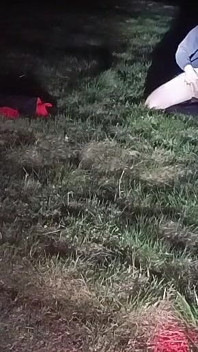 저는 밤에 옷을 벗고 밖에 나가요