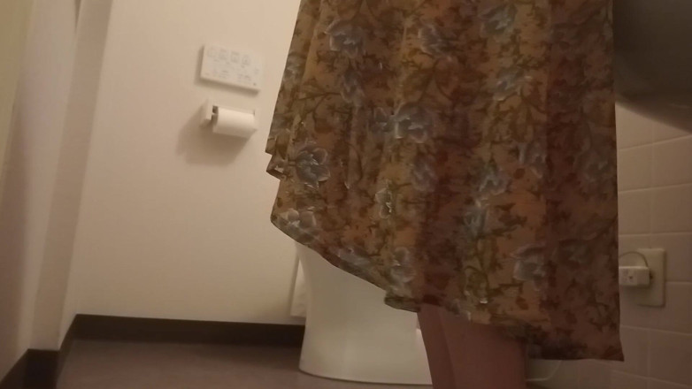 Mayumi Kanzaki: Hotel Restrooms