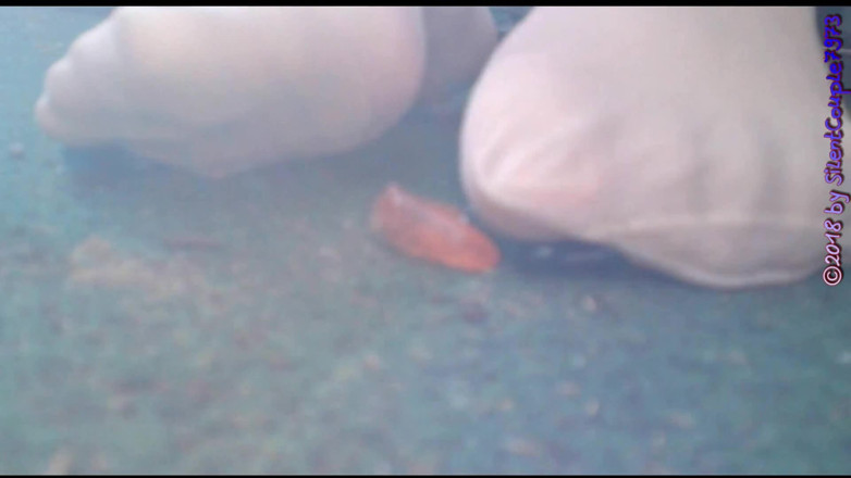 SilentCouple7973: Foot fetish is hot** compilation **