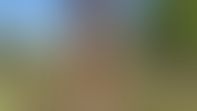 Locked due to age restriction