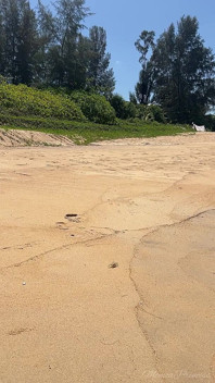 Cewek sange ini menggodaku dengan bikini merah di pantai