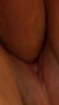 Liza et Jasmine jouent avec des chattes sexy