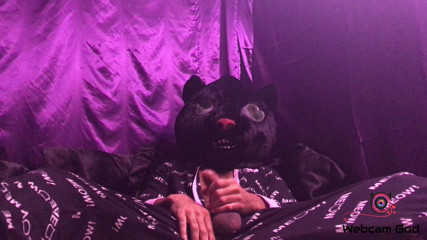 Arthur Eden aka Webcam God: Black kitty cat (4 k)