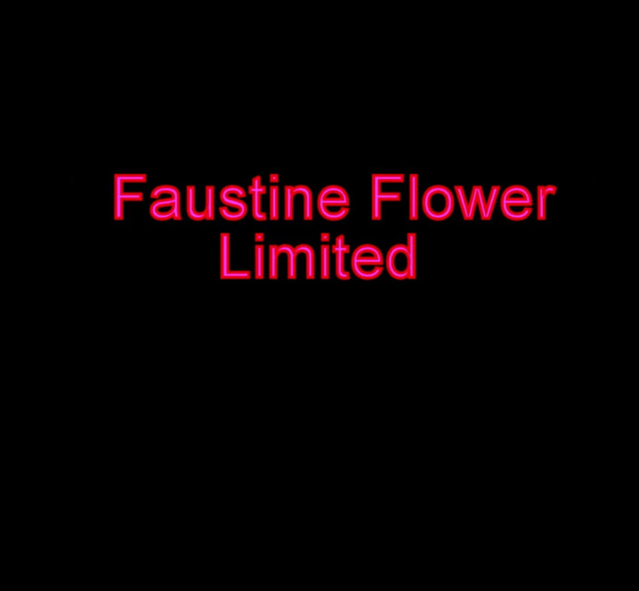 Faustine: Fetisch transvesthemd faustine vinyl kurze high heels