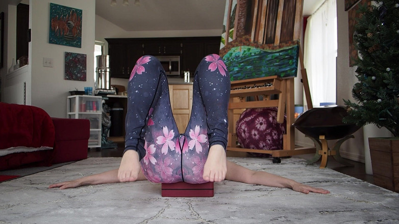 Aurora Willows: 뒤에서 요가 수업 92