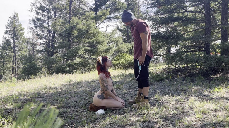 MYA Pleasure: 树林里的狐狸