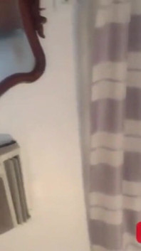 Šukal jsem její pevný zadek a naplnil ho semenem