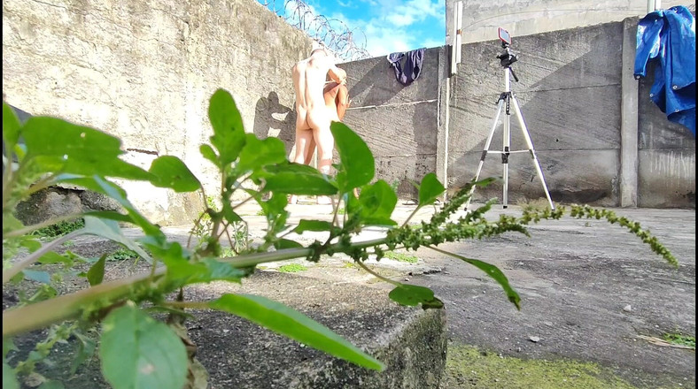 carmonaoficial: जंगल में कैमरा फिल्मों दो विषम कमबख्त