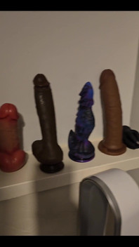 Chose for Me Which Toy Should I Use