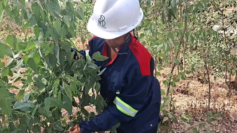 Jocci lena: Compañero De Trabajo Escapa Del Trabajo Para Ir a Casa...