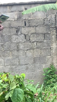 Ancora alla pecorina sbattere all'aperto con il mio ragazzo ebano