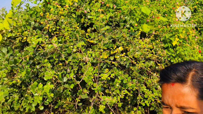 Premi pooja: Dorp Desi seks