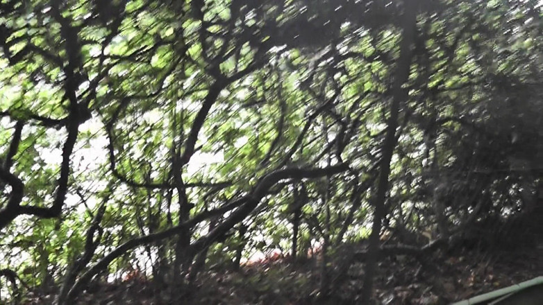 Spermalicious: Outdoor recognised, German asshole quicky in the park