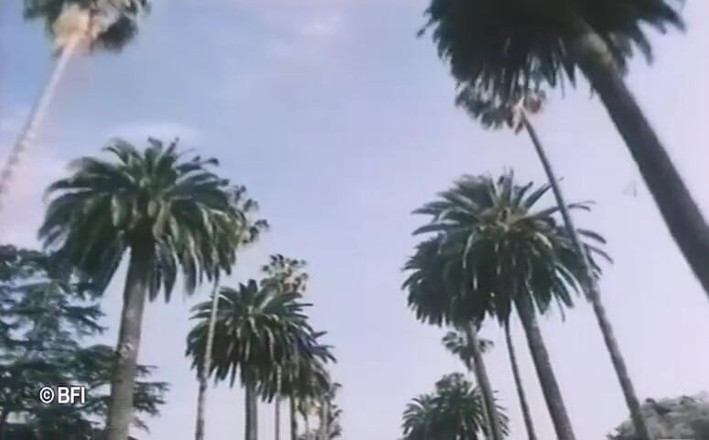 Vintage Vixens: 베벌리 힐스 빈티지 섹스 테이프 - 네덜란드 자막