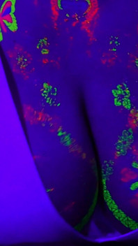Neon Titfuck je lepší než neon párty! Lilykoti