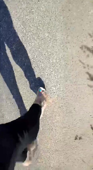 BadCat: Kaki seksi berjalan dengan sepatu hak tinggi