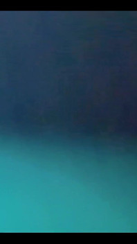 2987673890.mp4