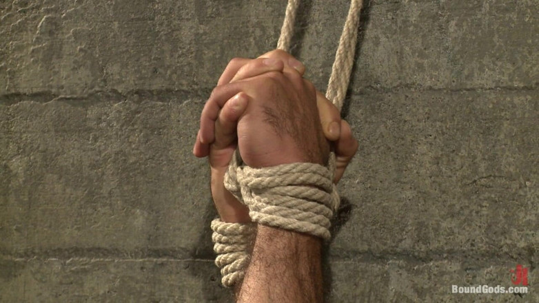 Bound gods: Alessio dan rogue - serial real life couple