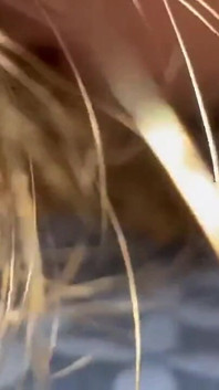 Bu kız benim yarı yaşımda! O kadar kızgın ki çok derine indim. Erkek arkadaşı definitel'e haber verecek.