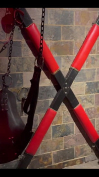 The Sex Dungeon