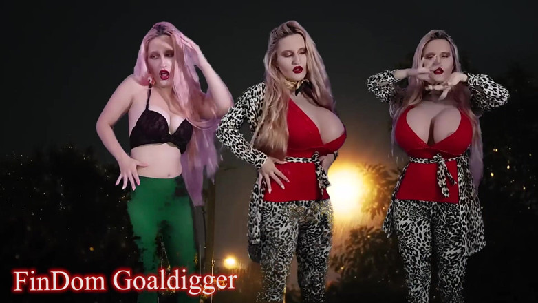 FinDom Goaldigger: 날개 변신을 가진 하이브리드