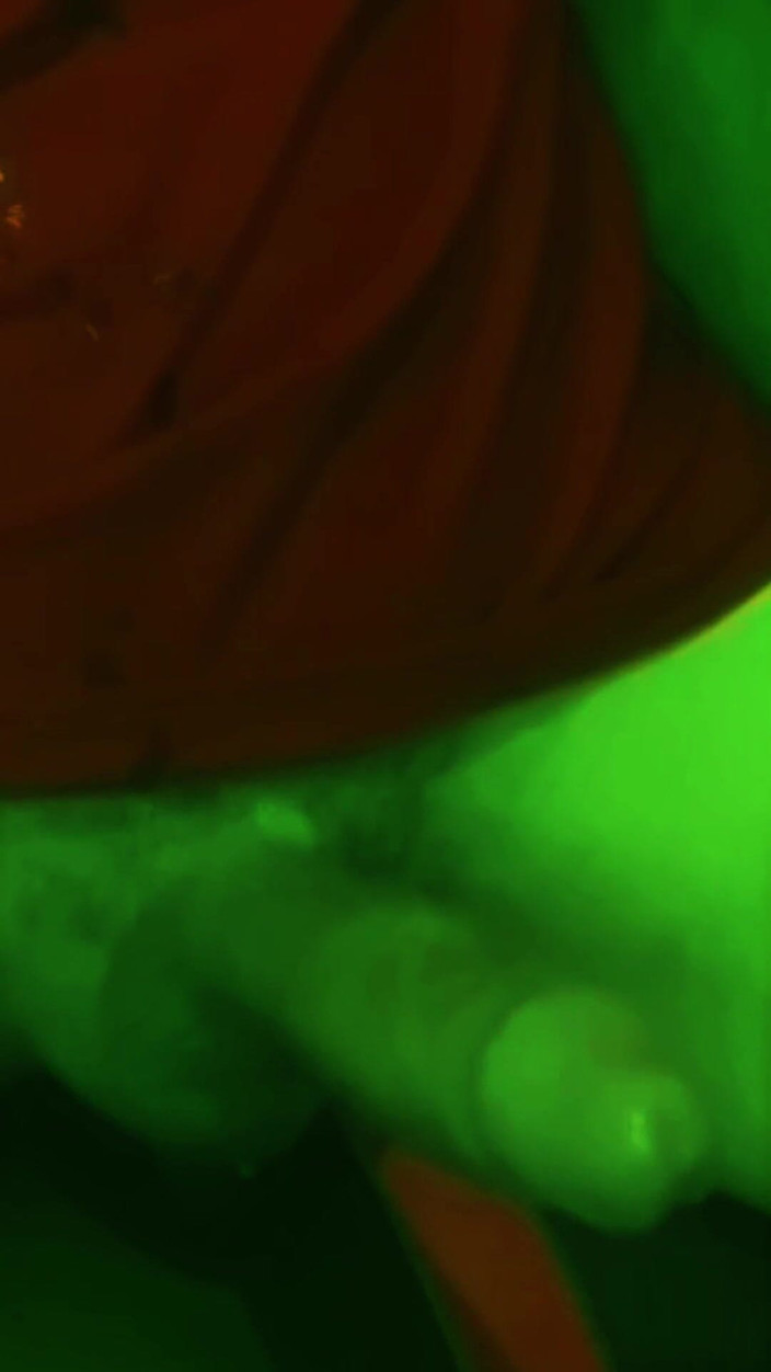 Naughty Cock: Noel Baba, Yaşlı Rascal