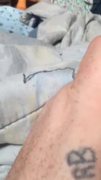 Tiny Cock